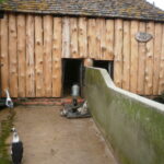 Nova Scotia Beavers Manor Farm Visit