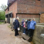 Nova Scotia Beavers Manor Farm Visit