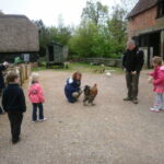 Nova Scotia Beavers Manor Farm Visit