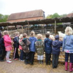 Nova Scotia Beavers Manor Farm Visit