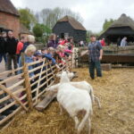 Nova Scotia Beavers Manor Farm Visit