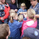 Nova Scotia Beavers Manor Farm Visit