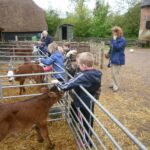 Nova Scotia Beavers Manor Farm Visit