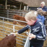 Nova Scotia Beavers Manor Farm Visit