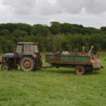 Ostridge Farm 2010